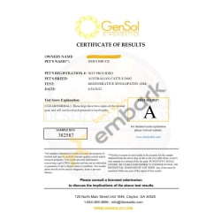 GENSOL DM-A