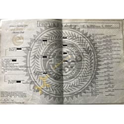 Pedigree inside
