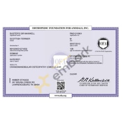 OFA CMO Certificate