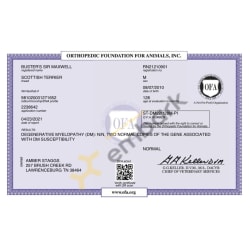 OFA DM Certificate
