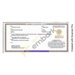 AKC Registration Certificate