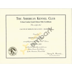 CGCU Certification