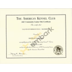 CGCA Certification