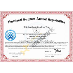 ES Certificate 