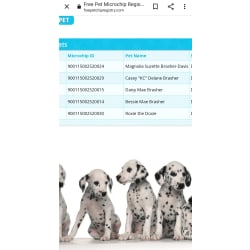 Family of 5 Microchip #'s & names 