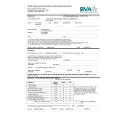 BVA Hip Dysplasia Score result