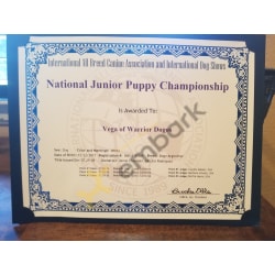 IABCA National Puppy Champion 