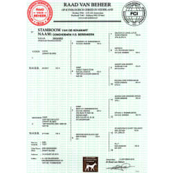 Pedigree Conchobara van de Berenkerk