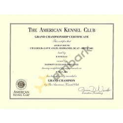 AKC Grand Champion Certificate 06172022