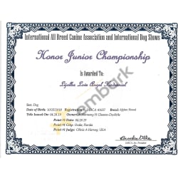 IABC Honor Jr CH 042019