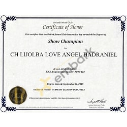 UKC CH 