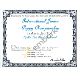 IABC Intl Puppy CH 042019