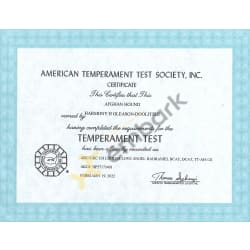 American Temperament Test Cert