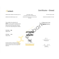 Certificate of Breed - Embark 05272022