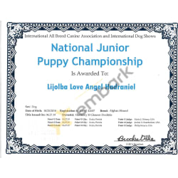 IABC Natl Jr Puppy CH 042019