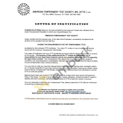 ATTS Certification Letter