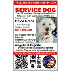 Chloe Grace - Service Dog ID