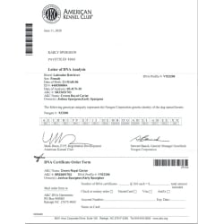 Caviar's AKC Letter of DNA Analysis DNA Profile #V923200 Completed June 11th, 2020. UPDATE: Caviar passed away at our home peacefully with the assistance of Snake River Veterinary Hospital on May 28th, 2020 at age 14 years, two months, and 7 days old and we feel truely blessed to have had the pleasure to have owned our precious Caviar for such a long healthy quality of life, and we will wait to see you again Caviar in All Your Full Glory! Enjoy All the Bliss of the Everafter Life Caviar, Amen!