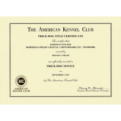 AKC TKN