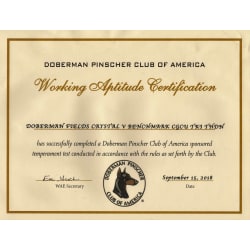 DPCA WAC Cert