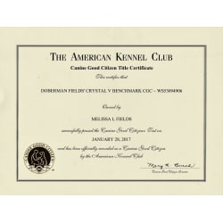 AKC CGC