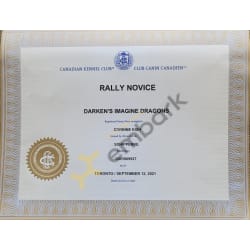 Rally Novice