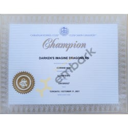 Champion 
