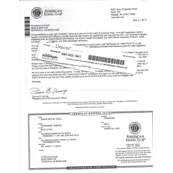 Microchip with registration letter