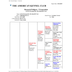 5 Generation Research Pedigree
            