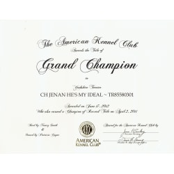 AKC Grand Champion Certificate