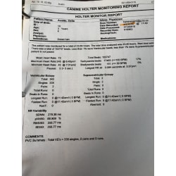 Most recent Thyroid report