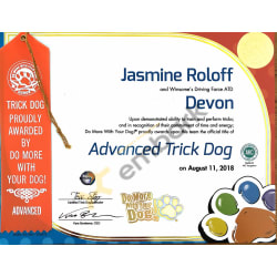 Tricks Title - ATD (Advanced Trick Dog)