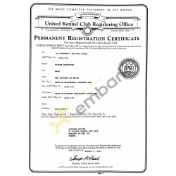 UKC Registration Certificate