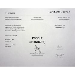 Embark Certification of Breed by DNA %