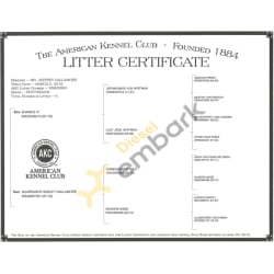 Litter Certificate 