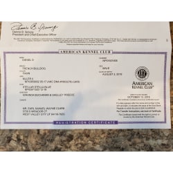 Registration Certificate 