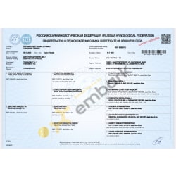 Export pedigree