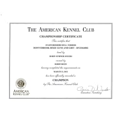 AKC Championship Certificate