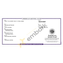 AKC Registration Certificate (download version)