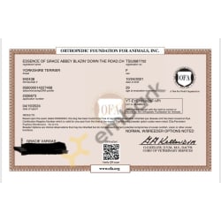 OFA EYE CAER RESULTS