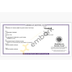 AKC registration certificate
