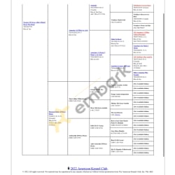 Research pedigree page 2