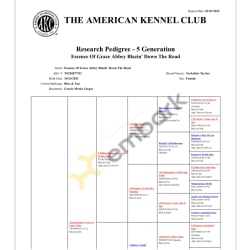 Research pedigree page 1