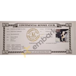 Wynnie's CKC Registation Certifacate 