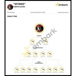 Wynnie's Family Tree