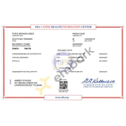 CHIC Registry Certificate