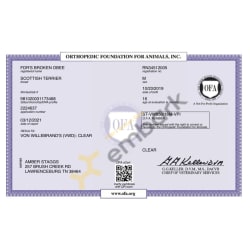 OFA VWD Certificate