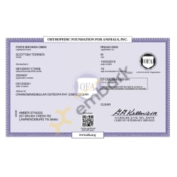 CMO OFA Certificate