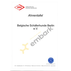 Pedigree and Breed Club Registration of Franjo von Canis Lupus Pallipes 
            issued by FCI / VDH / Belgische Schäferhunde Berlin e.V. (BSB)