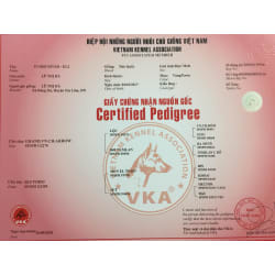 VKA REGISTRATION